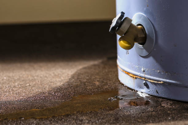 Best Water damage repair service  in Meraux, LA