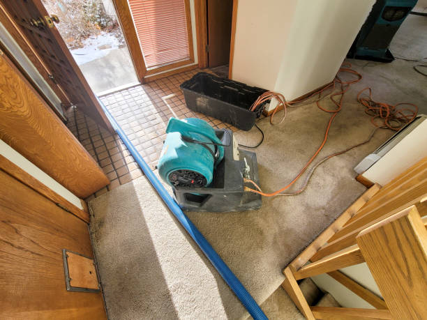 Best 24/7 water damage repair  in Meraux, LA