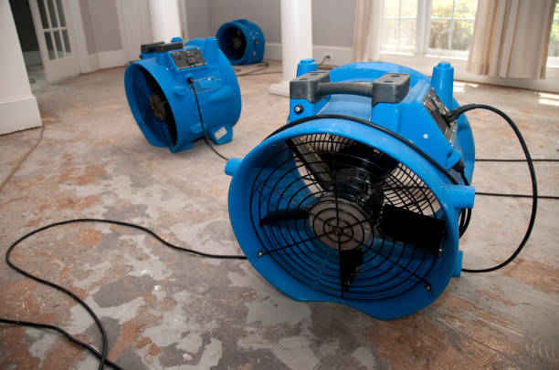 Trusted Meraux, LA Water damage restoration Experts