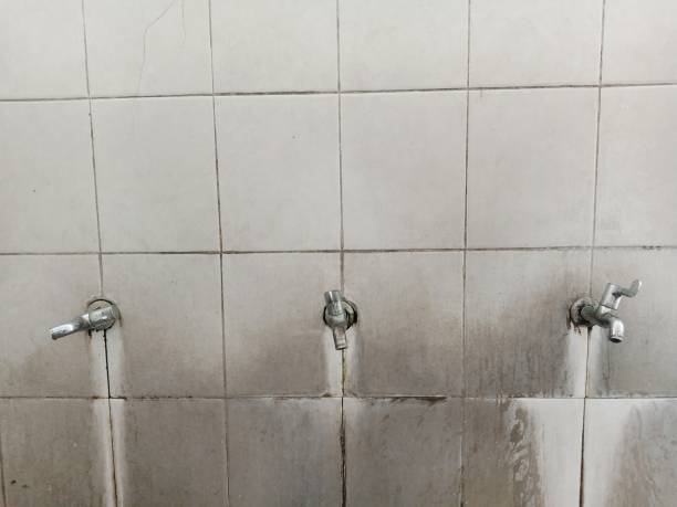 Best Water damage restoration near me  in Meraux, LA